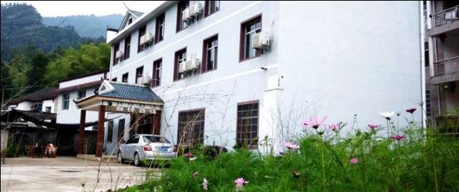 Zhangjiajie Forest Inn Dış mekan fotoğraf